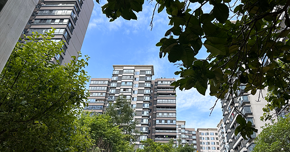 河东区电商域名注册资格查询